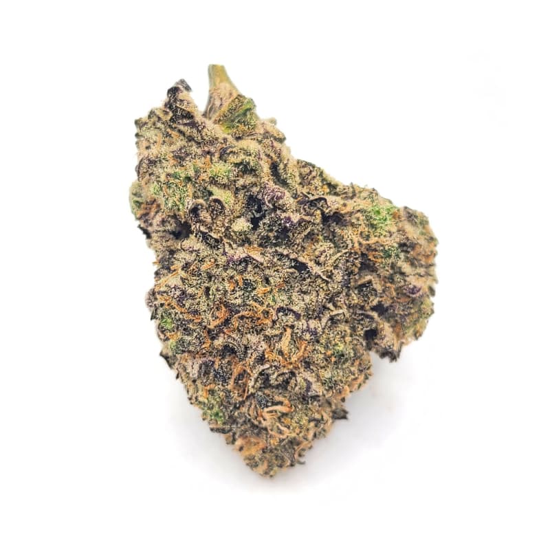 Auto Velvet Drip > Original Sensible Seeds | Autoflowering Cannabis   |  Sativa